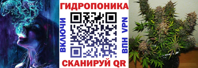 блэк спрут онион  где найти   Зуевка  МАРИХУАНА планчик 